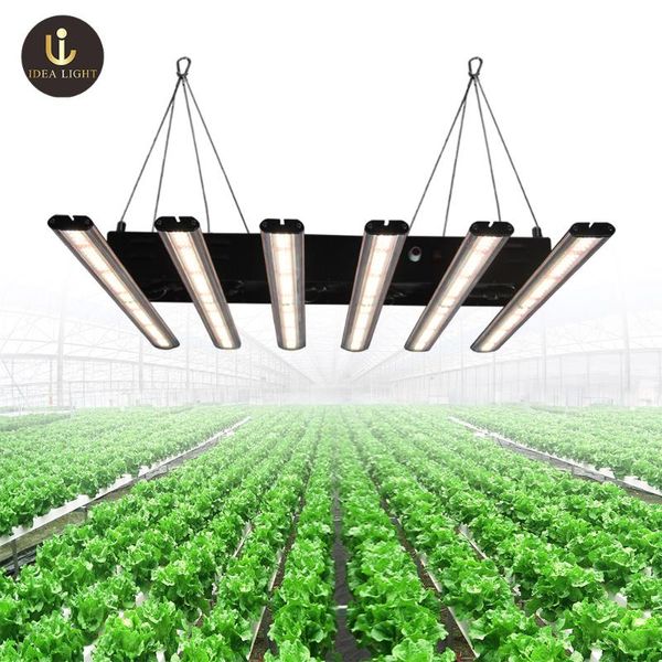 double switch 640w 960w 1280w full spectrum led grow light with veg/bloom modes for indoor greenhouse grow tent plants led
double switch 640w 960w 1280w full spectrum led grow light with veg/bloom modes for indoor greenhouse grow tent plants led
