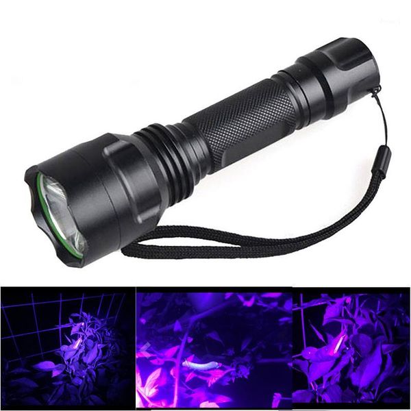 flashlights torches gm powerful 3w led uv portable xpe light waterproof 18650 torch for pet urine detect catch scorpion1
flashlights torches gm powerful 3w led uv portable xpe light waterproof 18650 torch for pet urine detect catch scorpion1