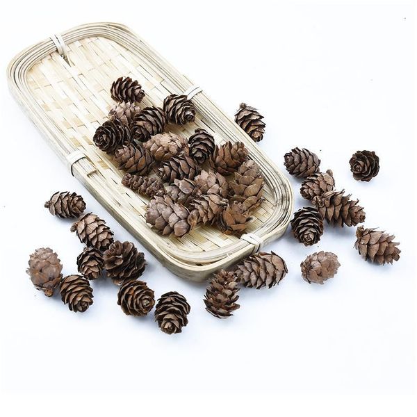 20 pieces artificial plants natural dried flowers pine cone acorn wedding home decoration diy christmas garlan jllppa
20 pieces artificial plants natural dried flowers pine cone acorn wedding home decoration diy christmas garlan jllppa