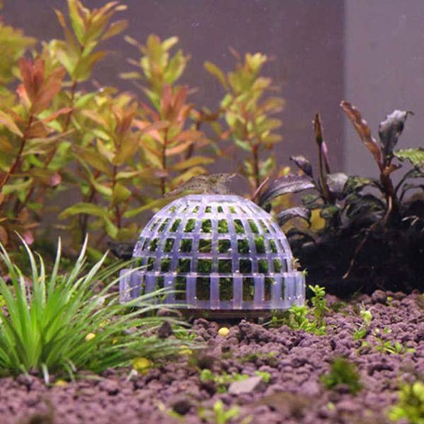 decorations aquarium fish tank media moss ball live plant filter filtration funny decor aquatic pet supplies nature sea
decorations aquarium fish tank media moss ball live plant filter filtration funny decor aquatic pet supplies nature sea