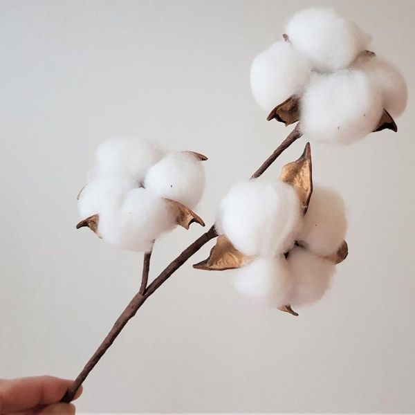 decorative flowers & wreaths 1pc 3 heads natural cotton bunch dried flowes diy home decor stems wedding decoration plantas artificial
decorative flowers & wreaths 1pc 3 heads natural cotton bunch dried flowes diy home decor stems wedding decoration plantas artificial