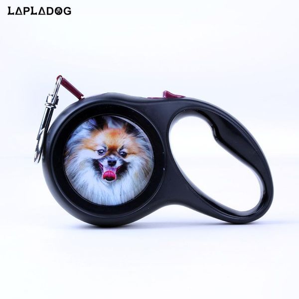 dog collars & leashes lapladog automatic retractable leash puppy walking leader small dogs universal remote control with super flat belt pet
dog collars & leashes lapladog automatic retractable leash puppy walking leader small dogs universal remote control with super flat belt pet