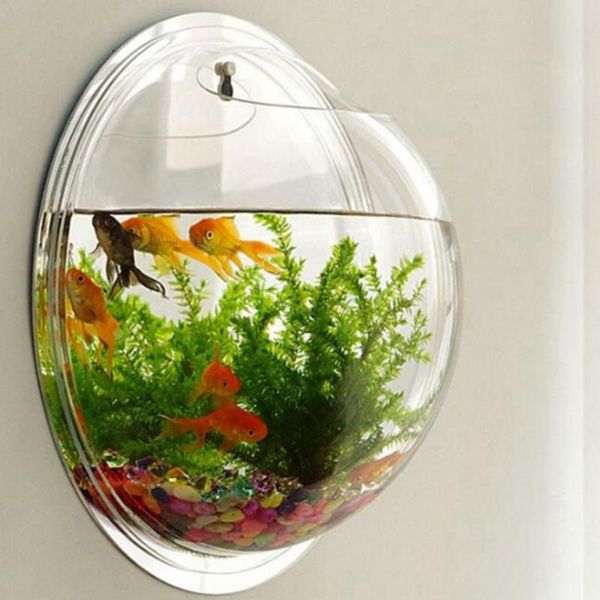 acrylic fish bowl wall hanging aquarium tank aquatic pet supplies pet products wall mount fish tank for betta
acrylic fish bowl wall hanging aquarium tank aquatic pet supplies pet products wall mount fish tank for betta