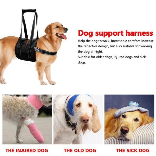 dog collars & leashes reflective nylon pet lift harness mesh padded adjustable medium large pets lifting vest for old injured dogs with hand
dog collars & leashes reflective nylon pet lift harness mesh padded adjustable medium large pets lifting vest for old injured dogs with hand