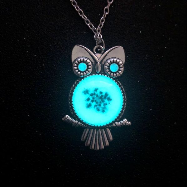 factory sholesale luminous owl dry flower time sweater chain new bronze and silver popular fashion xmas gift
factory sholesale luminous owl dry flower time sweater chain new bronze and silver popular fashion xmas gift