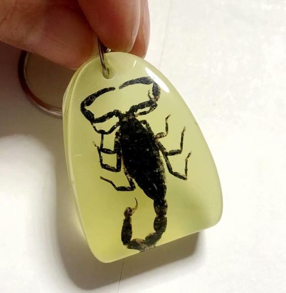 keychains discount sale creative 50 pcs scorpion taxidermy fashion n 7 jewelry keychain, Silver
keychains discount sale creative 50 pcs scorpion taxidermy fashion n 7 jewelry keychain, Silver