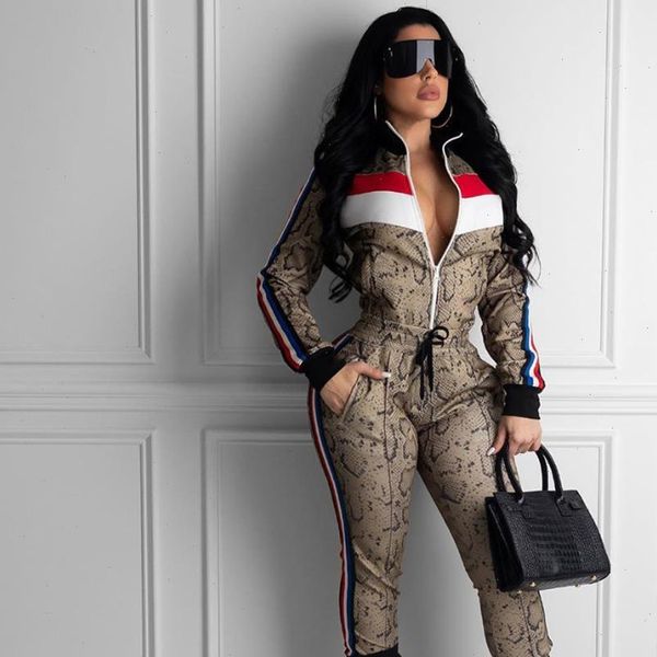 2 two piece set striped women tracksuit snake print sweat pants ankle zipper jacket suit long sleeve outwear street, Gray
2 two piece set striped women tracksuit snake print sweat pants ankle zipper jacket suit long sleeve outwear street, Gray