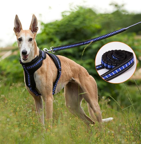 dog collars & leashes harness nylon leash absorption stretch rope pet traction large for training walking running
dog collars & leashes harness nylon leash absorption stretch rope pet traction large for training walking running