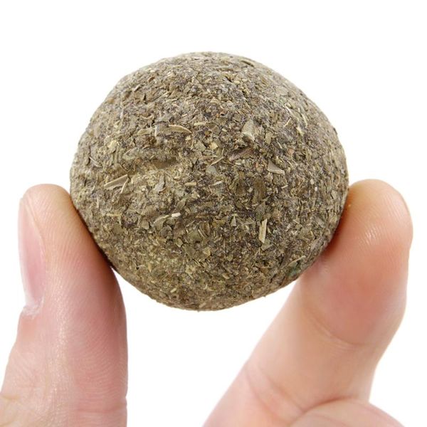cat toys mint ball natural catnip teeth cleaning playing chew for cats crazy healthy pet supplies
cat toys mint ball natural catnip teeth cleaning playing chew for cats crazy healthy pet supplies