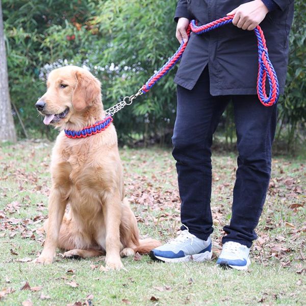 dog collars & leashes double strand rope large metal chain buckle color pet traction collar set for big dogs
dog collars & leashes double strand rope large metal chain buckle color pet traction collar set for big dogs