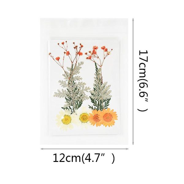 small dried flowers pressed flower diy scrapbooking preserved flower for home wedding party decoration mini bloemen flor qylbjk
small dried flowers pressed flower diy scrapbooking preserved flower for home wedding party decoration mini bloemen flor qylbjk