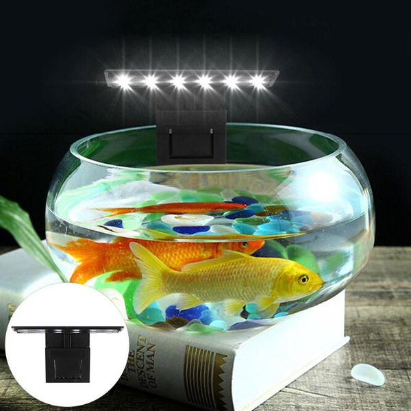 decorations mini bright led aquarium fish tank clip light 5w water grass coral growth lamp
decorations mini bright led aquarium fish tank clip light 5w water grass coral growth lamp