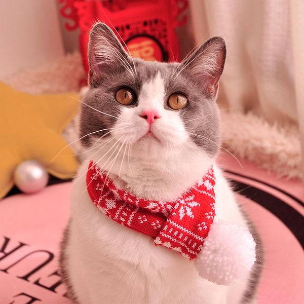 dog car seat covers pet scarf knitted collar warm saliva towel autumn and winter christmas po jewelry
dog car seat covers pet scarf knitted collar warm saliva towel autumn and winter christmas po jewelry