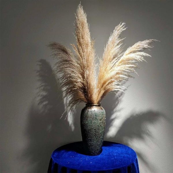 decorative flowers & wreaths natural dryness reeds pampas grass bunch bouquet plant stems wedding color home offices garden decoration diy a
decorative flowers & wreaths natural dryness reeds pampas grass bunch bouquet plant stems wedding color home offices garden decoration diy a
