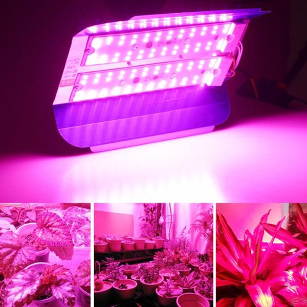 led grow light full spectrum 50/100w vegetables lights outdoor led plants growing lamp hydroponic plant growth lighting
led grow light full spectrum 50/100w vegetables lights outdoor led plants growing lamp hydroponic plant growth lighting