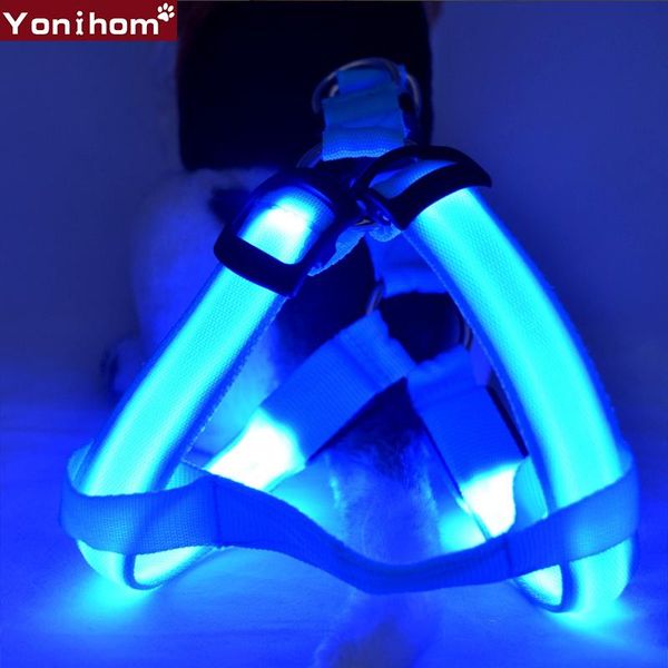 dog collars & leashes harness vest led pet collar luminous nylon dogs flashing light night safety safe
dog collars & leashes harness vest led pet collar luminous nylon dogs flashing light night safety safe