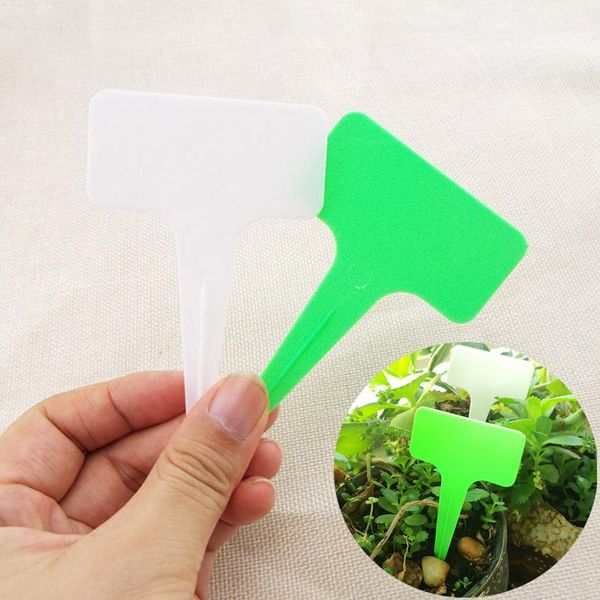 other garden supplies t-type plant labels flower nursery tag gardening ornaments plastic writing plate white green
other garden supplies t-type plant labels flower nursery tag gardening ornaments plastic writing plate white green