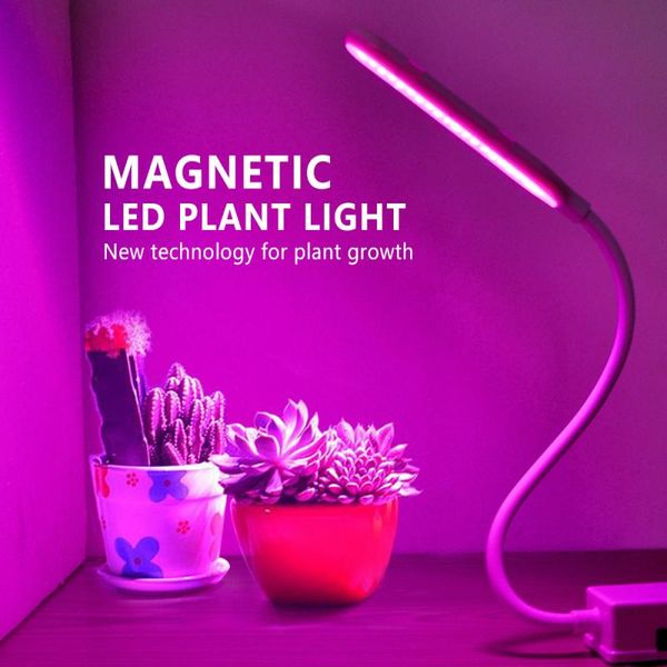 grow lights magnetic led light usb full spectrum phyto lamp for indoor plant lighting simple waterproof phytolamp home green pla
grow lights magnetic led light usb full spectrum phyto lamp for indoor plant lighting simple waterproof phytolamp home green pla