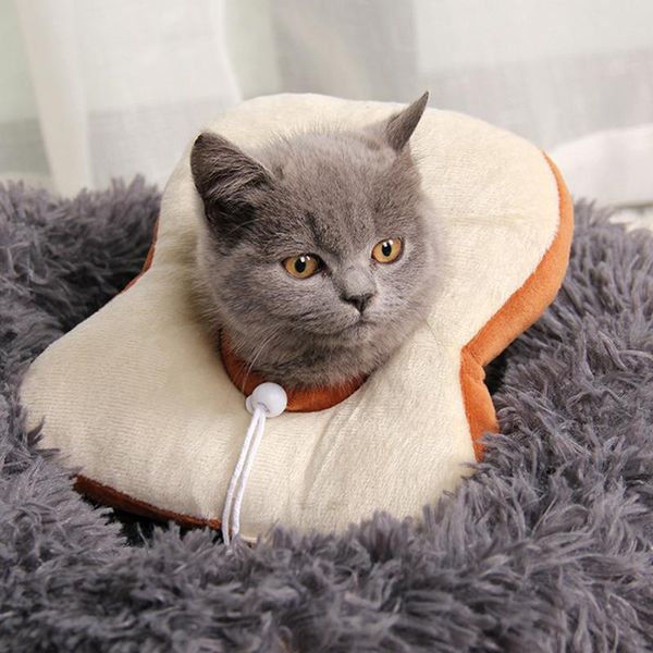 dog collars & leashes s/m/l pet dogs cats headgear creative toast costume soft bread slice circle collar po props decoration
dog collars & leashes s/m/l pet dogs cats headgear creative toast costume soft bread slice circle collar po props decoration