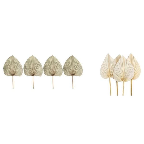 decorative flowers & wreaths palm fan leaf dried flower window reception party art wall hanging decoration wedding arch dekoration
decorative flowers & wreaths palm fan leaf dried flower window reception party art wall hanging decoration wedding arch dekoration