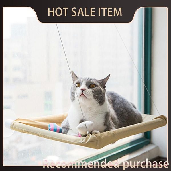 kitten bearing sun cat kg hammock shelf cushion sleeping window pet cat glass hammock comfortable 20 rest icema, White;black
kitten bearing sun cat kg hammock shelf cushion sleeping window pet cat glass hammock comfortable 20 rest icema, White;black