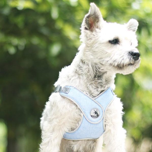 dog collars & leashes reflective puppy cat harness vest with walking lead leash pet for small medium dogs pets accessories
dog collars & leashes reflective puppy cat harness vest with walking lead leash pet for small medium dogs pets accessories