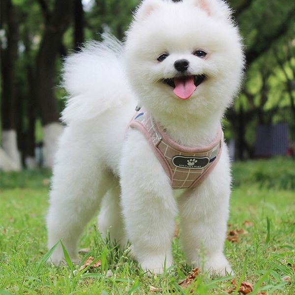 dog collars & leashes 1pcs classic plaid harness for pet dogs nylon mesh puppy cat harnesses vest reflective and breathable walking lead lea
dog collars & leashes 1pcs classic plaid harness for pet dogs nylon mesh puppy cat harnesses vest reflective and breathable walking lead lea