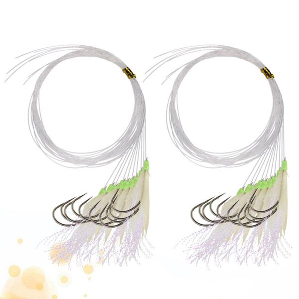 2 strings fishing string hooks fishhooks pre tied sabiki fish flies fish skin flasher rig with glow luminous head monofilame
2 strings fishing string hooks fishhooks pre tied sabiki fish flies fish skin flasher rig with glow luminous head monofilame