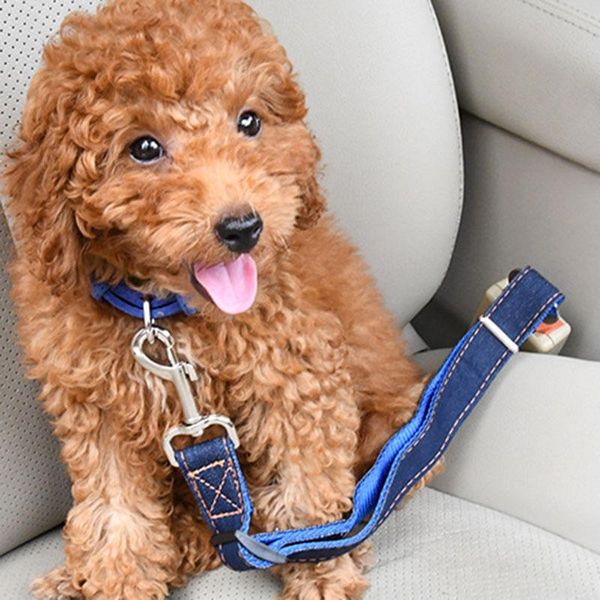 dog collars & leashes pet cat harness seat belt car travel accessories large dogs small adjustable golden retriever teddy
dog collars & leashes pet cat harness seat belt car travel accessories large dogs small adjustable golden retriever teddy