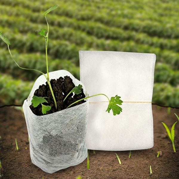 planters & pots 300pcs biodegradable non-woven nursery bags, fabric seedling plant grow bags home garden supply (8*10cm)
planters & pots 300pcs biodegradable non-woven nursery bags, fabric seedling plant grow bags home garden supply (8*10cm)