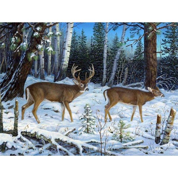 paintings chenistory framed elk animal painting by numbers kits for kids diy gift oil picture number home bedroom wall decoration art
paintings chenistory framed elk animal painting by numbers kits for kids diy gift oil picture number home bedroom wall decoration art