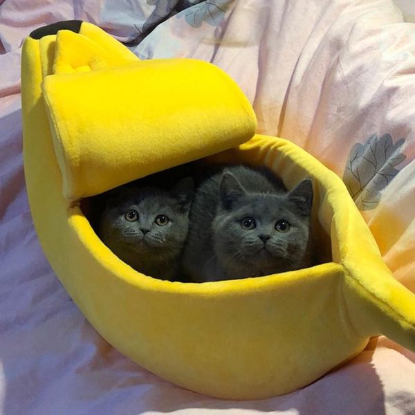 cat beds & furniture bed banana house cozy puppy cushion kennel portable dog supplies basket mat kattenmand
cat beds & furniture bed banana house cozy puppy cushion kennel portable dog supplies basket mat kattenmand
