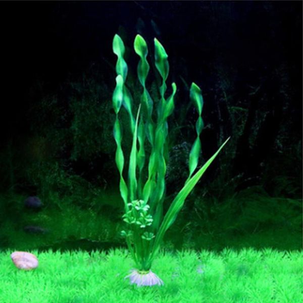 decorations practical aquarium decor safe vivid gift fish tank durable landscape underwater accessories artificial water grass plant home
decorations practical aquarium decor safe vivid gift fish tank durable landscape underwater accessories artificial water grass plant home
