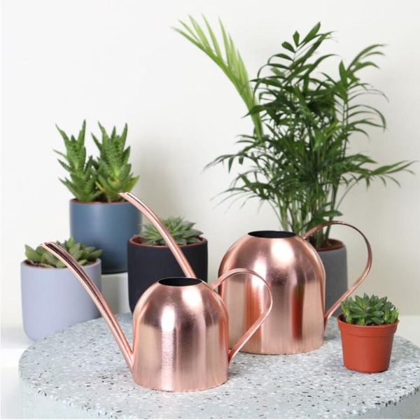 watering equipments 500ml/1000ml stainless steel long mouth pot green plant can golden kettle small gardening tools 30e
watering equipments 500ml/1000ml stainless steel long mouth pot green plant can golden kettle small gardening tools 30e