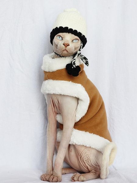 cat costumes autumn and winter thickening sphinx hairless clothes prevent release skin-friendly soft accessories
cat costumes autumn and winter thickening sphinx hairless clothes prevent release skin-friendly soft accessories