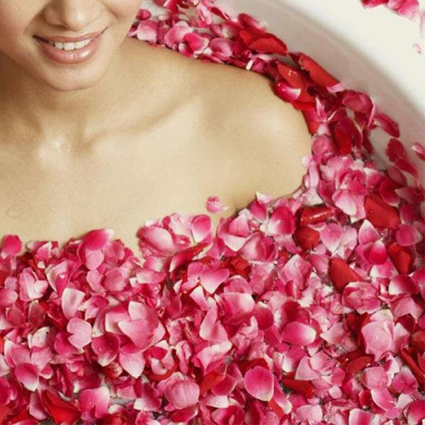 decorative flowers & wreaths rleay natural rose petals dried dry true bath spa banquet wedding decoration
decorative flowers & wreaths rleay natural rose petals dried dry true bath spa banquet wedding decoration