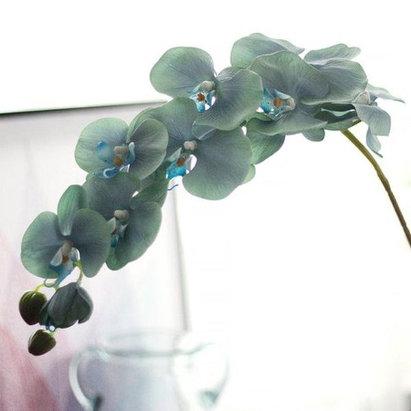 decorative flowers & wreaths extra large wedding holiday flower phalaenopsis feels glue moisturizing artificial home decoration simulation p
decorative flowers & wreaths extra large wedding holiday flower phalaenopsis feels glue moisturizing artificial home decoration simulation p