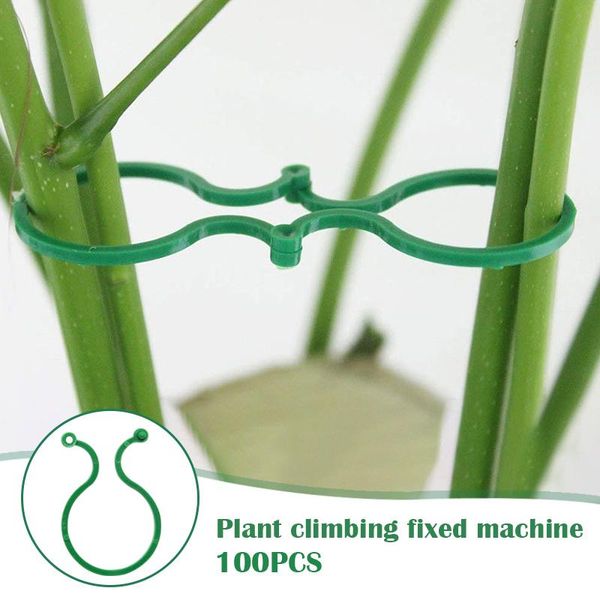 other garden supplies 100 pcs vines climbing hook fixture holder fixer accessories for gardening plant dropshipplant support & care ho 
other garden supplies 100 pcs vines climbing hook fixture holder fixer accessories for gardening plant dropshipplant support & care ho