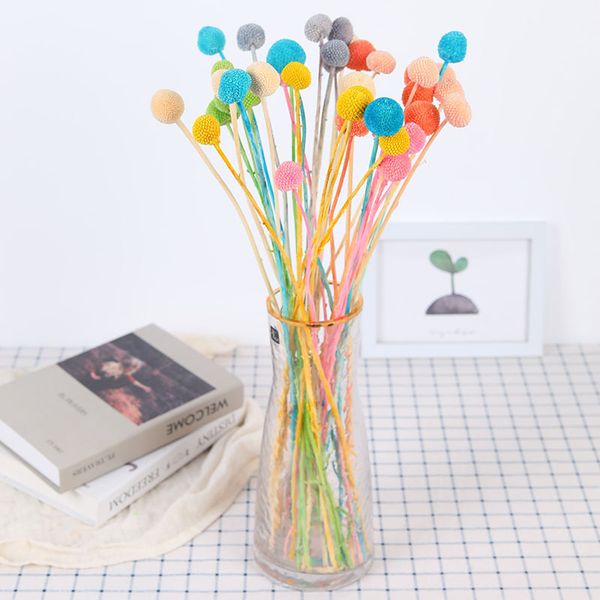 decorative preserved flowers ball natural fresh eternell craspedia bouquets forever gold orbs flower billy button balls home
decorative preserved flowers ball natural fresh eternell craspedia bouquets forever gold orbs flower billy button balls home