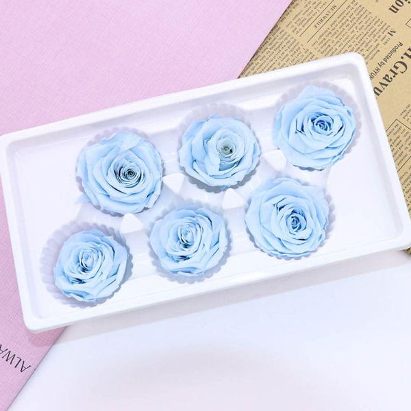 decorative flowers & wreaths 6 roses dried flower head eternal b-class wedding family decoration valentine's day mother's gift
decorative flowers & wreaths 6 roses dried flower head eternal b-class wedding family decoration valentine's day mother's gift