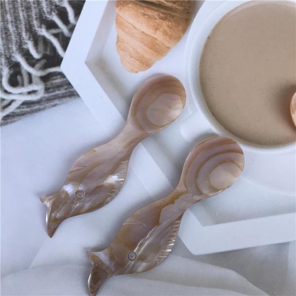 spoons natural conch shells spoon salt fish small caviar dessert coffee scoop of ice cream honey tea
spoons natural conch shells spoon salt fish small caviar dessert coffee scoop of ice cream honey tea