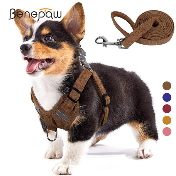benepaw suede fabric dog harness and leash set breathable adjustable reflective soft no pull puppy harness for small medium dogs
benepaw suede fabric dog harness and leash set breathable adjustable reflective soft no pull puppy harness for small medium dogs