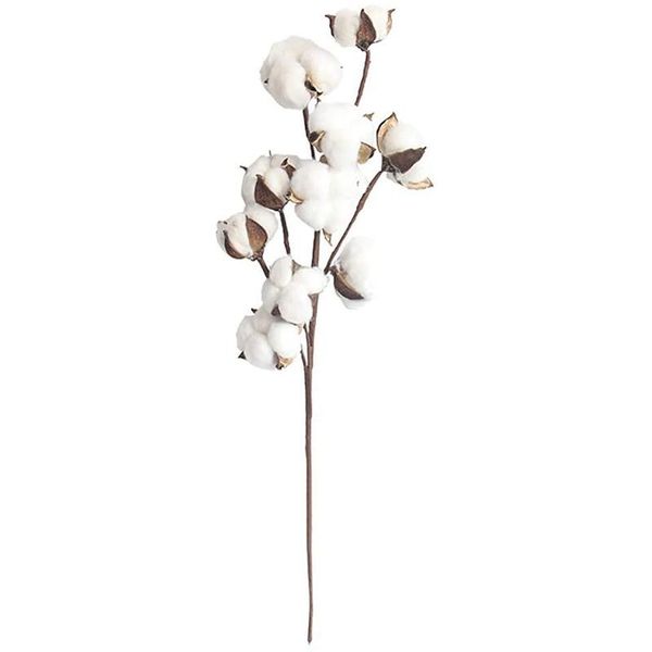 decorative flowers & wreaths 10pcs natural dry cotton artificial plant flower wedding decoration home
decorative flowers & wreaths 10pcs natural dry cotton artificial plant flower wedding decoration home