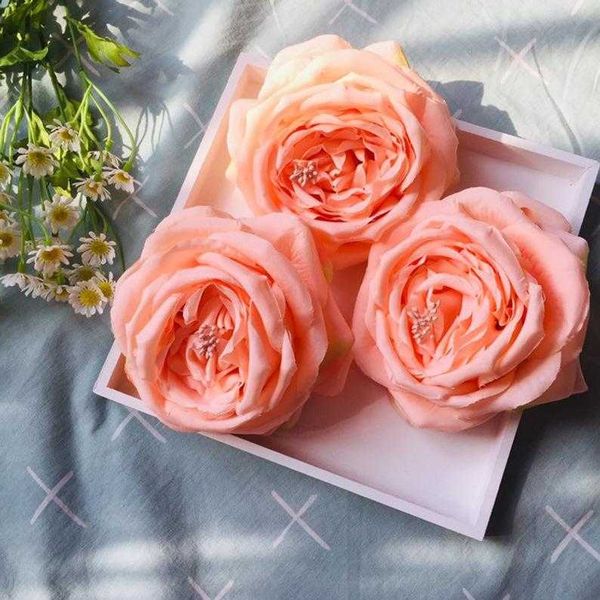 decorative flowers & wreaths 10pcs peach artificial big head angel roses silk rose for diy wedding bouquets centerpiece decor
decorative flowers & wreaths 10pcs peach artificial big head angel roses silk rose for diy wedding bouquets centerpiece decor