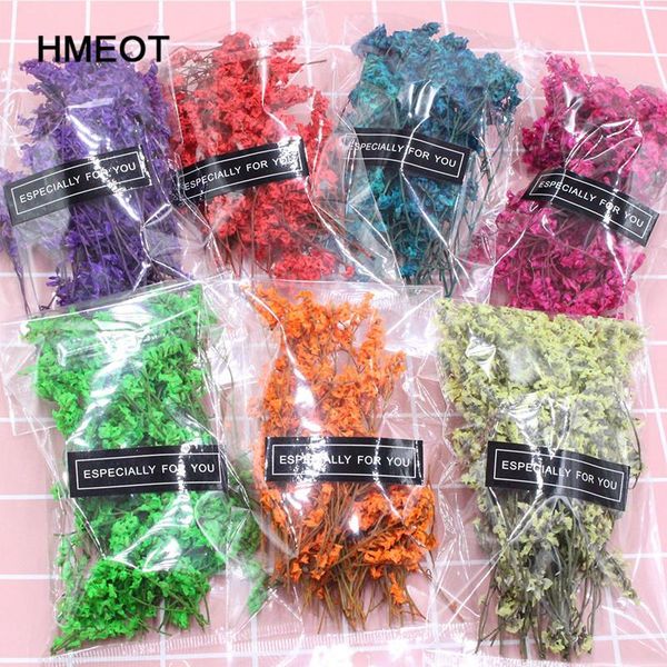 decorative flowers & wreaths natural dried flower gypsophila garden home decoration wall diy material mini micro landscape accessories gifts
decorative flowers & wreaths natural dried flower gypsophila garden home decoration wall diy material mini micro landscape accessories gifts