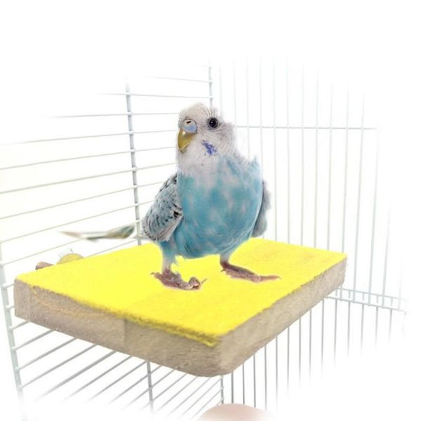 other bird supplies colorful pet toys clean parakeet claw platform chew parrot for springboard perches stand cage toy grinding
other bird supplies colorful pet toys clean parakeet claw platform chew parrot for springboard perches stand cage toy grinding