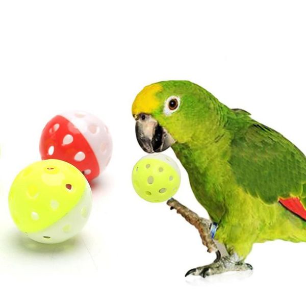 other bird supplies parrot toys accessories ball with bell for parakeet funny hollow cockatiel chewing sound toy random color 1
other bird supplies parrot toys accessories ball with bell for parakeet funny hollow cockatiel chewing sound toy random color 1