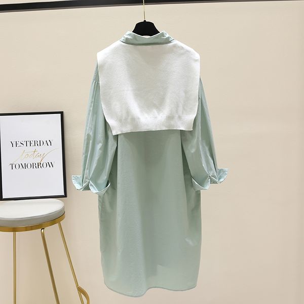 two-piece set shawl mid-length shirt 2021 spring new fashion blouse korean style loose casual blusas long sleeve for women, White
two-piece set shawl mid-length shirt 2021 spring new fashion blouse korean style loose casual blusas long sleeve for women, White