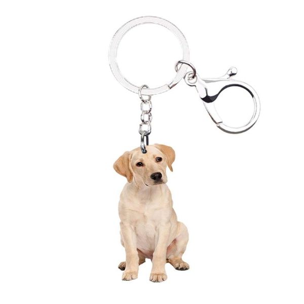 labrador retriever dog keychains animal acrylic keychain for keychains not 3d llaveros boyfriends gift ideas kawaii drop
labrador retriever dog keychains animal acrylic keychain for keychains not 3d llaveros boyfriends gift ideas kawaii drop