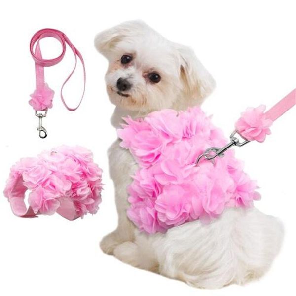 dog collars & leashes pink flower harness soft breathable puppy lead leash set adjustable small dogs cat vest harnesses strap for chihuahua
dog collars & leashes pink flower harness soft breathable puppy lead leash set adjustable small dogs cat vest harnesses strap for chihuahua